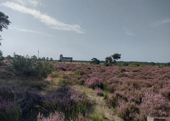 Blissful シャレー