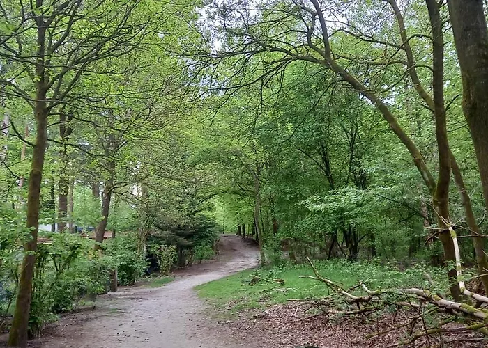 Horská chata Blissful *