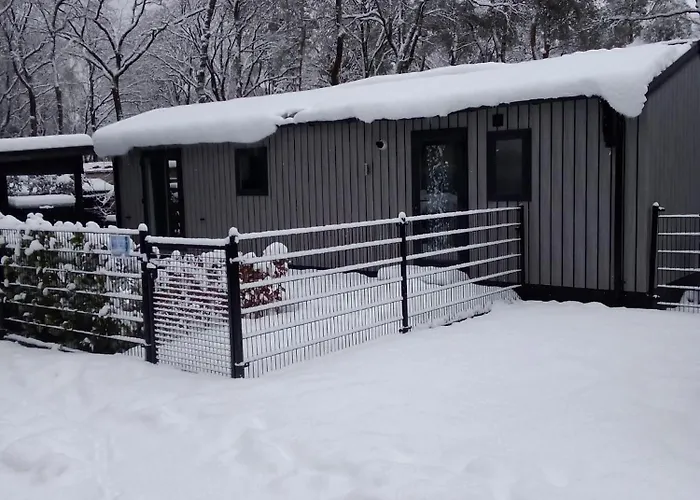 Blissful シャレー *