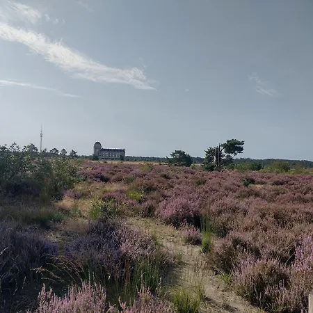 Blissful Chalet